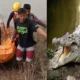 Pelajar 17 Tahun di Bangka Barat Diselamatkan Setelah Diserang dan Diseret Buaya di Sungai Mancung