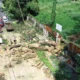 Pemkot Bandung Selidiki Kasus Pengulitan Pohon di Jalan Pahlawan