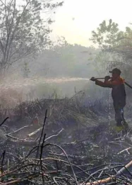 tanggap darurat karhutla palangkaraya