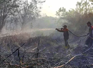 tanggap darurat karhutla palangkaraya