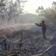 tanggap darurat karhutla palangkaraya