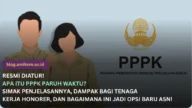 Tuntas di 2027! PPPK Paruh Waktu Siap Alih Status, Daerah Dilarang Tambah Pegawai Baru