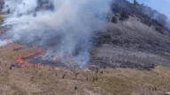 Wisata Gunung Bromo Ditutup Total Akibat Kebakaran Hutan dan Lahan