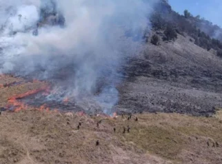Wisata Gunung Bromo Ditutup Total Akibat Kebakaran Hutan dan Lahan