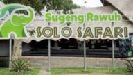 Destinasi Wisata Satwa Solo Safari
