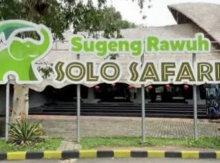 Destinasi Wisata Satwa Solo Safari