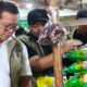 Jaga Stabilitas Harga, Bulog Bersama Satgas Pangan Jatim Perketat Pengawasan dan Percepat Distribusi Pangan