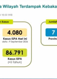 Karhutla Berdampak di 63 Kabupaten/Kota, Kasus ISPA Tembus 113.336 Jiwa
