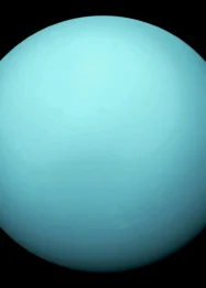 Bulan Ini, CAS Bongkar Alasan Lengkap Skandal 7 Pemain Naturalisasi Bodong Malaysia, Bisa Bikin Geger Dunia Sepak Bola