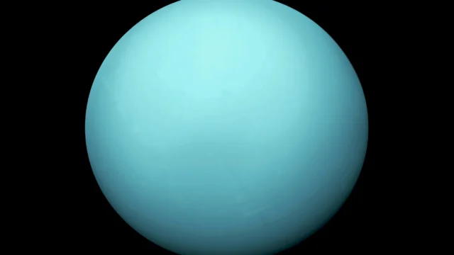 Bulan Ini, CAS Bongkar Alasan Lengkap Skandal 7 Pemain Naturalisasi Bodong Malaysia, Bisa Bikin Geger Dunia Sepak Bola