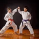 Karate Indonesia Lepas 6 Atlet ke Asian Games 2026, Bidik Emas Kumite