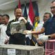 Penumpang Pesawat di Bandara Juanda Sembunyikan Anak Monyet dalam Koper Bagasi