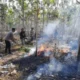 Viral Video Relawan Polri Temukan Singkong Bakar Siap Makan saat Padamkan Kebakaran Hutan dan Lahan