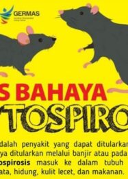 Waspada Leptospirosis saat musim hujan