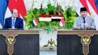 Presiden RI Prabowo Subianto menyampaikan pernyataan pers bersama Presiden Republik Arab Mesir Abdel Fattah El-Sisi