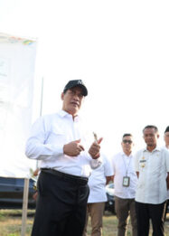 Jaga Pasokan Pakan, Mentan Minta Bulog Siapkan Stok Jagung 250 Ribu Ton