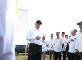 Jaga Pasokan Pakan, Mentan Minta Bulog Siapkan Stok Jagung 250 Ribu Ton